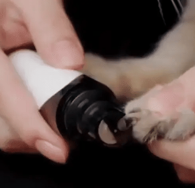 Haustier Nagelfeile | Drahtlos | Leise | Effizient | Elektrisch | USB-Luzern Mode
