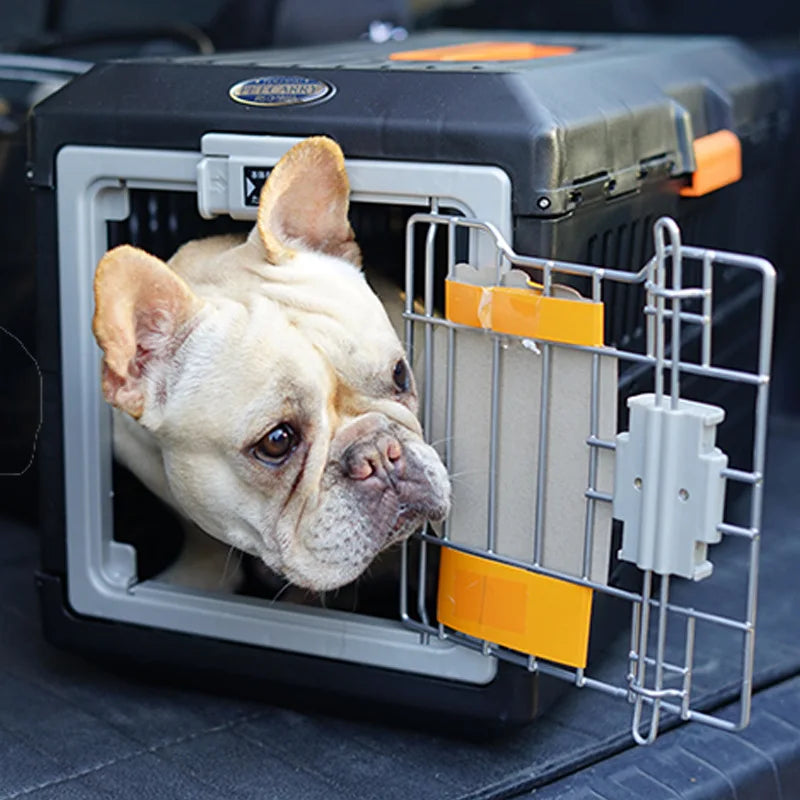 Reisetasche für Hunde und Katzen | Faltbar | Belüftet | Komfortabel-Luzern Mode
