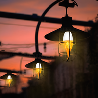 LED-Glühbirne | USB-Flamme, atmosphärisch, langlebig, realistisch, einzigartig, sicher-Luzern Mode