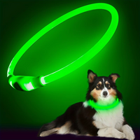 Hundehalsband | LED Sicher Sichtbar Wiederaufladbar USB Langlebig-Grün-Luzern Mode