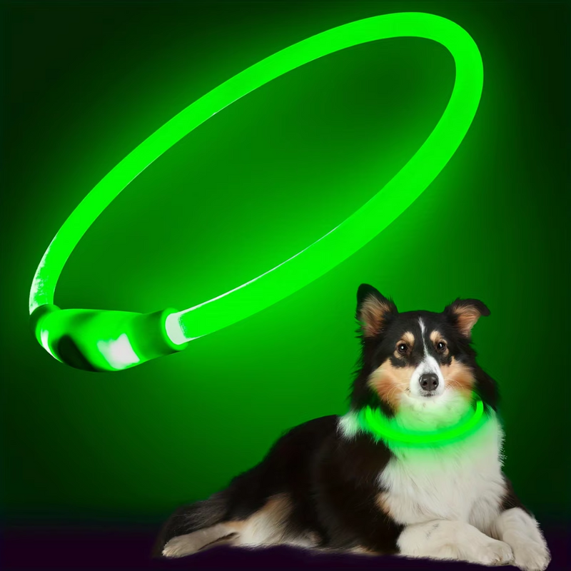 Hundehalsband | LED Sicher Sichtbar Wiederaufladbar USB Langlebig-Grün-Luzern Mode