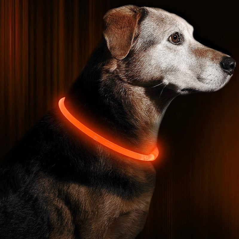 Hundehalsband | LED Sicher Sichtbar Wiederaufladbar USB Langlebig-Orange-Luzern Mode