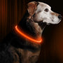 Hundehalsband | LED Sicher Sichtbar Wiederaufladbar USB Langlebig-Orange-Luzern Mode