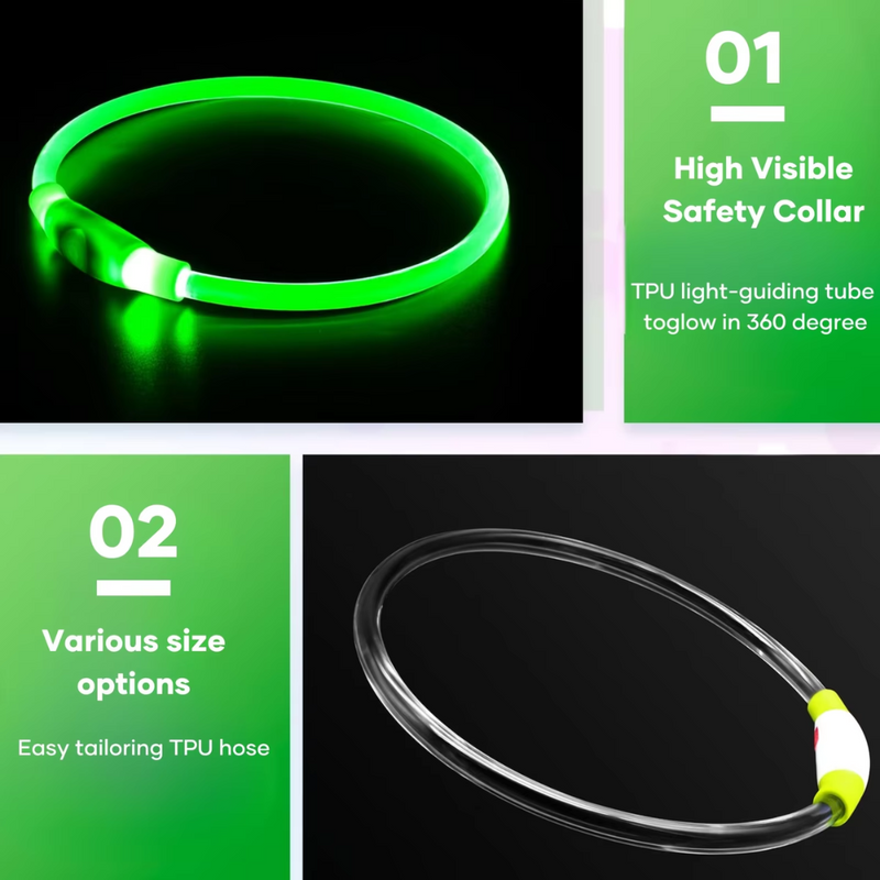 Hundehalsband | LED Sicher Sichtbar Wiederaufladbar USB Langlebig-Luzern Mode