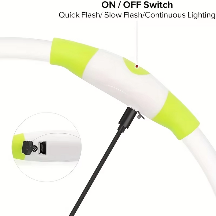 Hundehalsband | LED Sicher Sichtbar Wiederaufladbar USB Langlebig-Luzern Mode