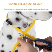 Hundehalsband | LED Sicher Sichtbar Wiederaufladbar USB Langlebig-Luzern Mode