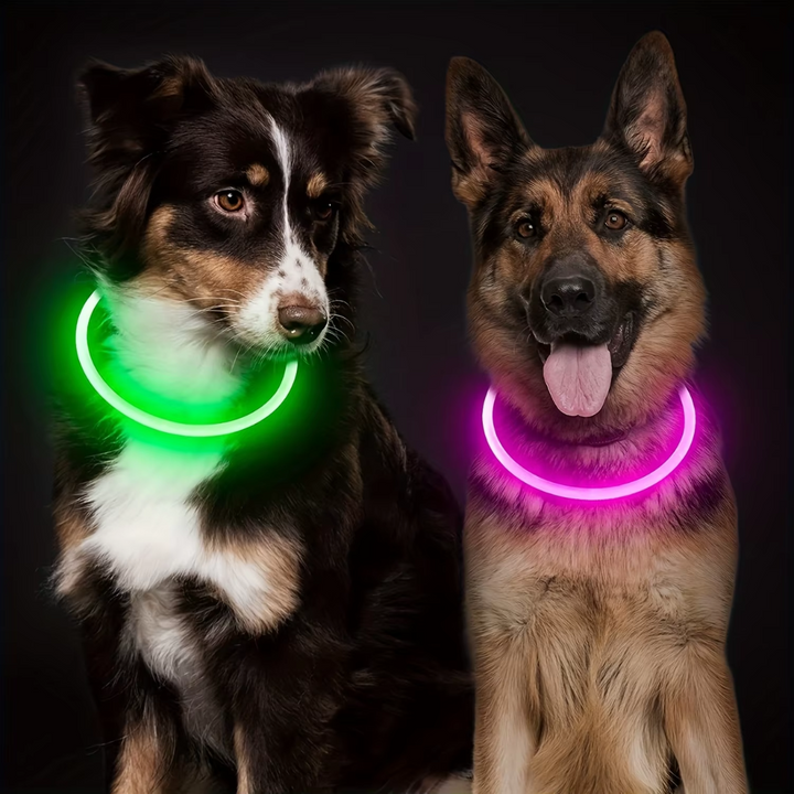 Hundehalsband | LED Sicher Sichtbar Wiederaufladbar USB Langlebig-Luzern Mode