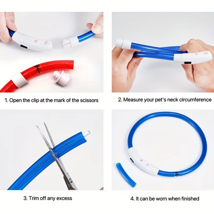 Hundehalsband | LED Sicher Sichtbar Wiederaufladbar USB Langlebig-Luzern Mode