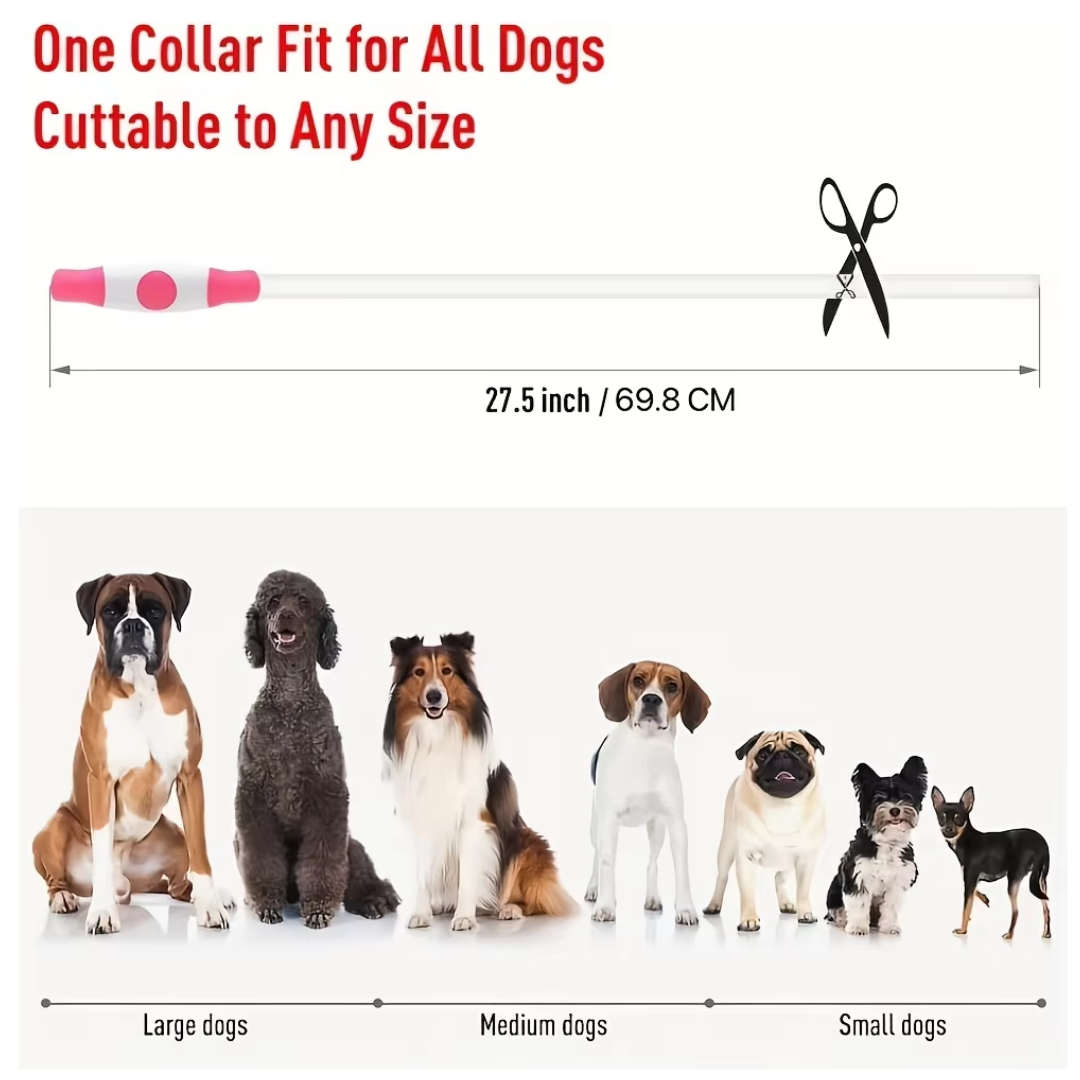 Hundehalsband | LED Sicher Sichtbar Wiederaufladbar USB Langlebig-Luzern Mode