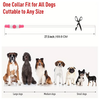 Hundehalsband | LED Sicher Sichtbar Wiederaufladbar USB Langlebig-Luzern Mode