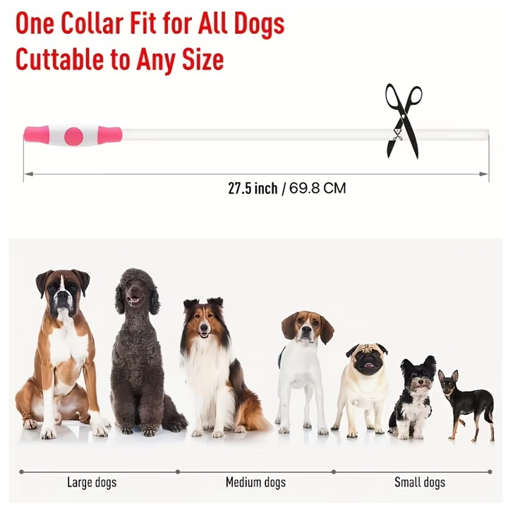 Hundehalsband | LED Sicher Sichtbar Wiederaufladbar USB Langlebig-Luzern Mode
