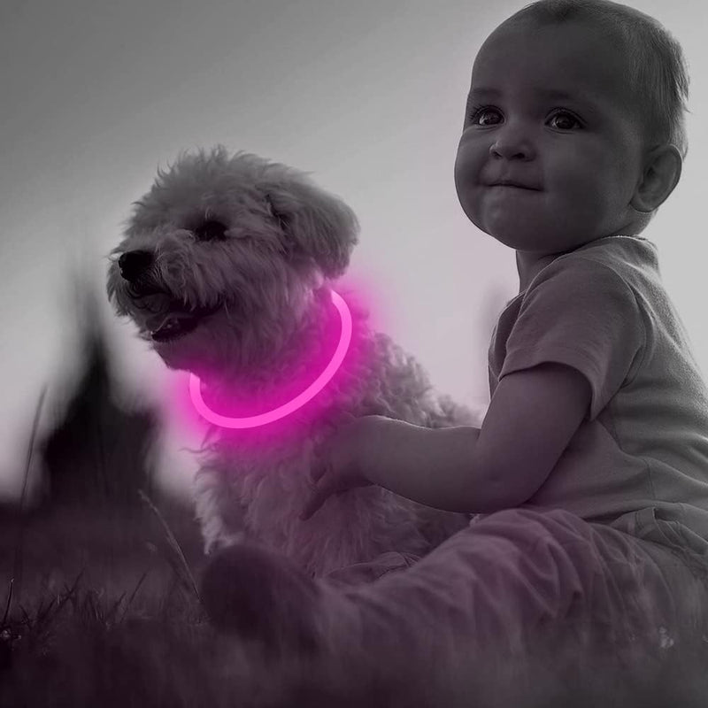 Hundehalsband | LED Sicher Sichtbar Wiederaufladbar USB Langlebig-Luzern Mode