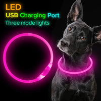 Hundehalsband | LED Sicher Sichtbar Wiederaufladbar USB Langlebig-Luzern Mode