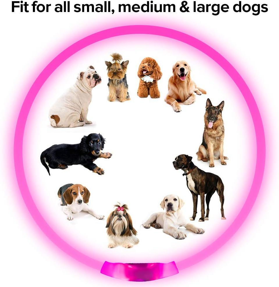 Hundehalsband | LED Sicher Sichtbar Wiederaufladbar USB Langlebig-Luzern Mode