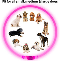 Hundehalsband | LED Sicher Sichtbar Wiederaufladbar USB Langlebig-Luzern Mode