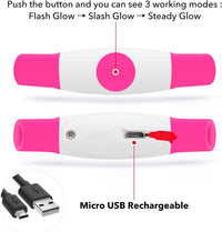 Hundehalsband | LED Sicher Sichtbar Wiederaufladbar USB Langlebig-Luzern Mode