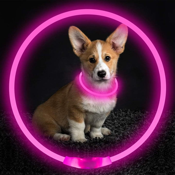 Hundehalsband | LED Sicher Sichtbar Wiederaufladbar USB Langlebig-Luzern Mode
