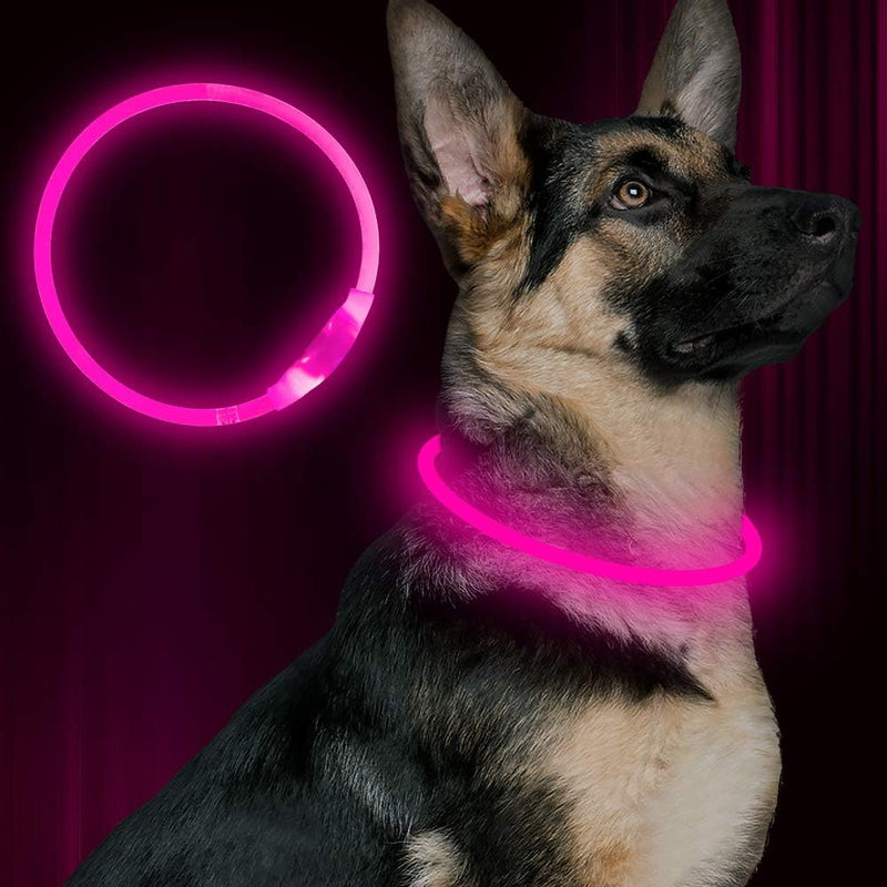 Hundehalsband | LED Sicher Sichtbar Wiederaufladbar USB Langlebig-Rosa-Luzern Mode