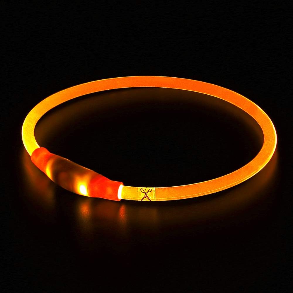 Hundehalsband | LED Sicher Sichtbar Wiederaufladbar USB Langlebig-Luzern Mode
