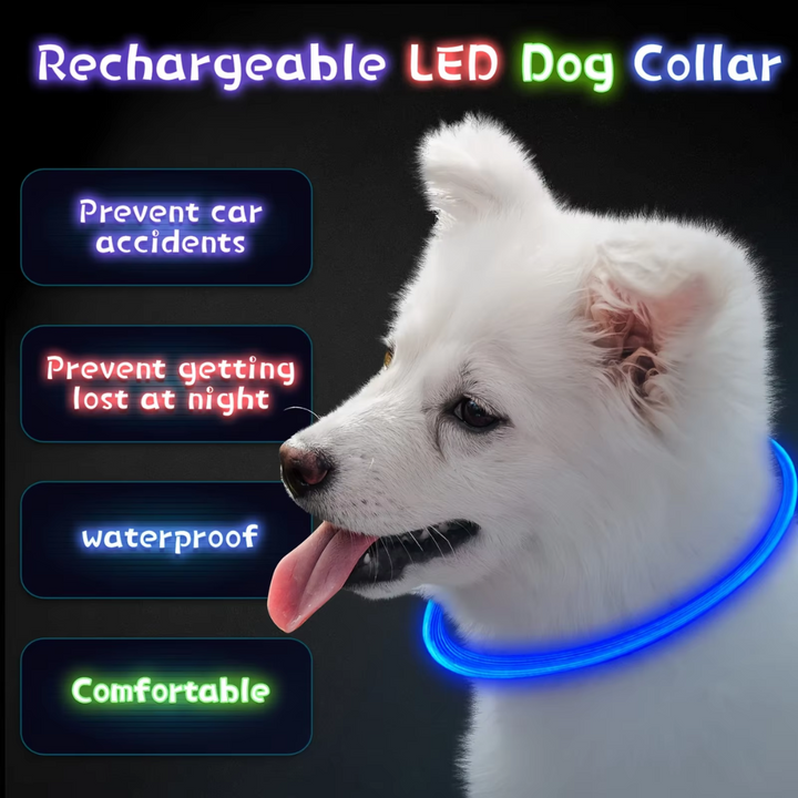 Hundehalsband | LED Sicher Sichtbar Wiederaufladbar USB Langlebig-Luzern Mode