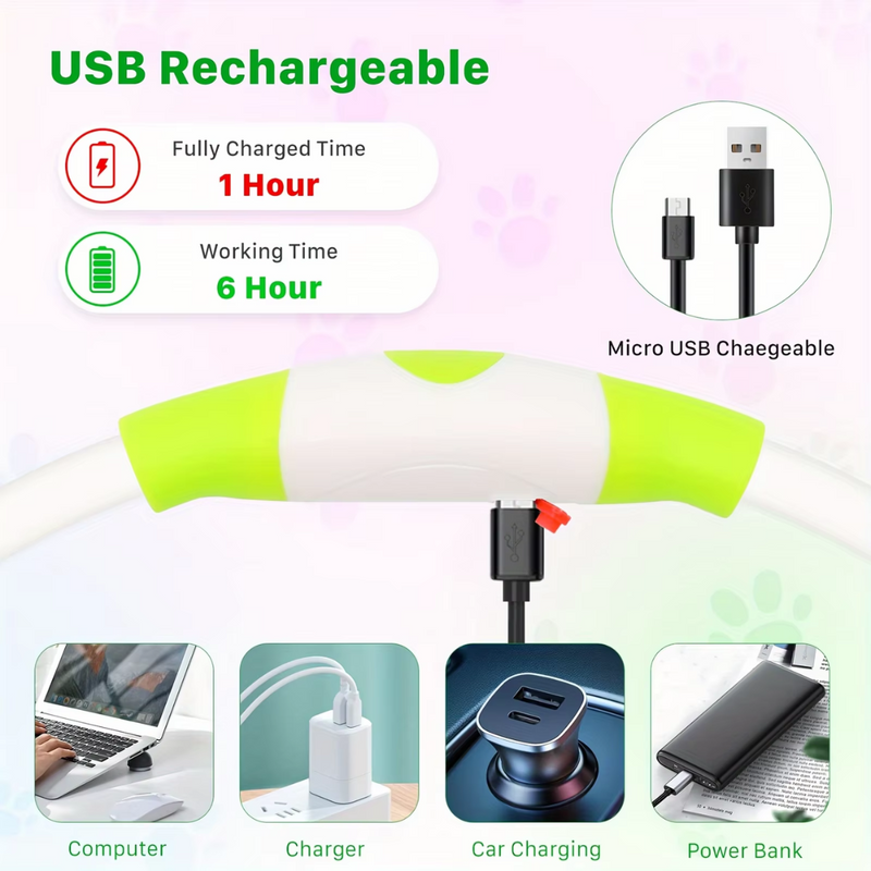 Hundehalsband | LED Sicher Sichtbar Wiederaufladbar USB Langlebig-Luzern Mode