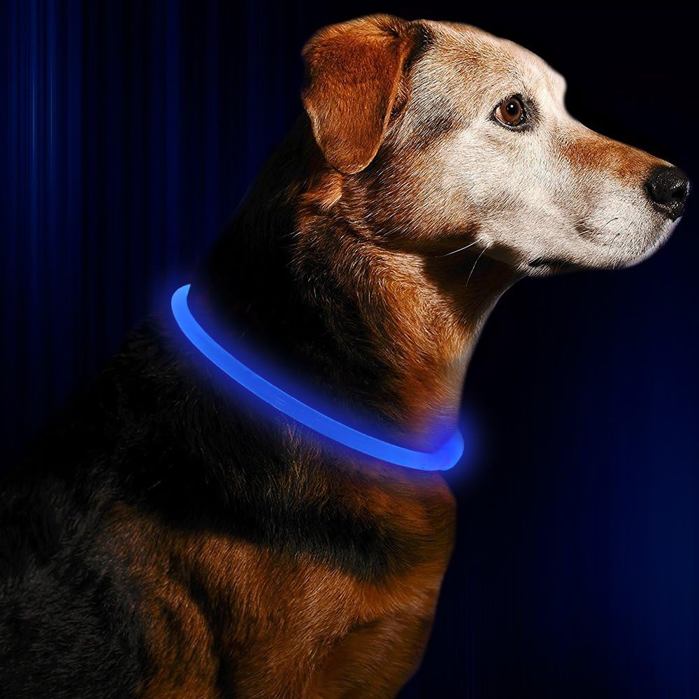 Hundehalsband | LED Sicher Sichtbar Wiederaufladbar USB Langlebig-Luzern Mode