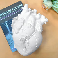 Herzförmige Vase | Anatomisch Griechisch Stilvoll Einzigartig Harz Langlebig-Luzern Mode