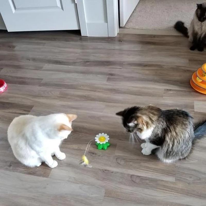 Katzenspielzeug | Interaktiv | Spielspaß | Automatisch | Bewegend-Luzern Mode