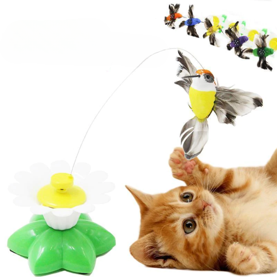 Katzenspielzeug | Interaktiv | Spielspaß | Automatisch | Bewegend-Luzern Mode