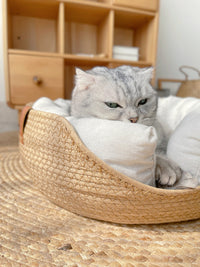 Katzenbett | Handgefertigt | Bequem | Waschbarer Bezug | Stilvoll-Luzern Mode