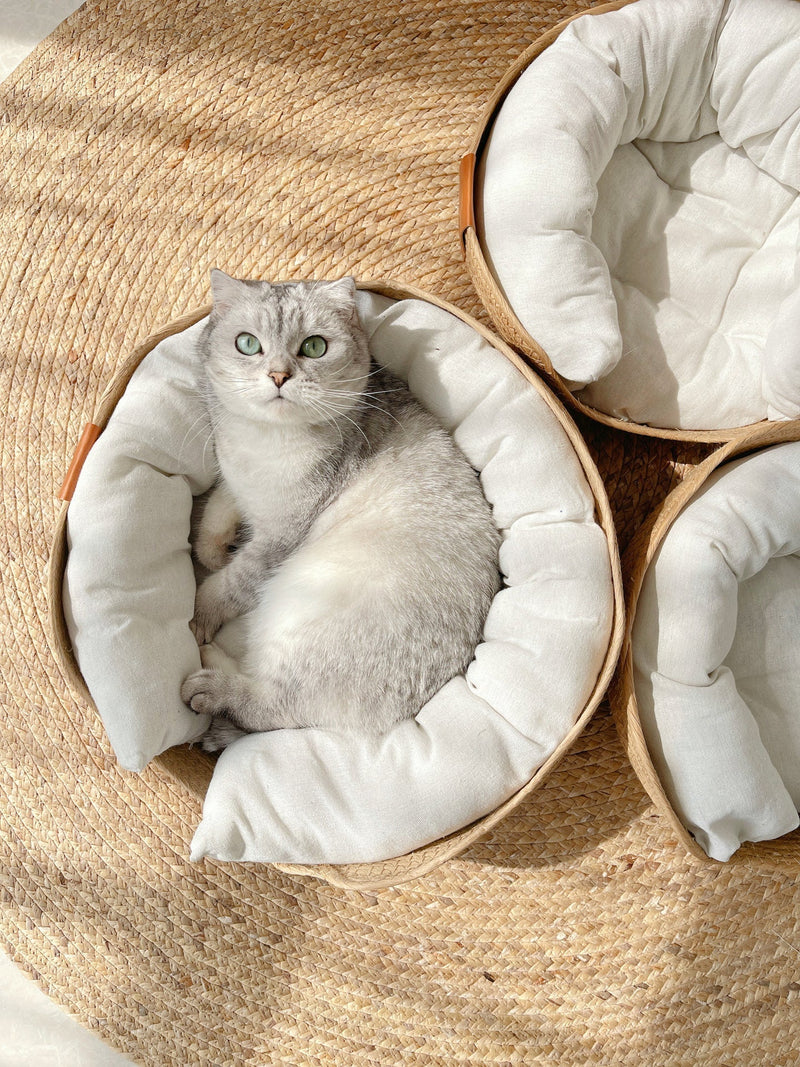 Katzenbett | Handgefertigt | Bequem | Waschbarer Bezug | Stilvoll-Luzern Mode