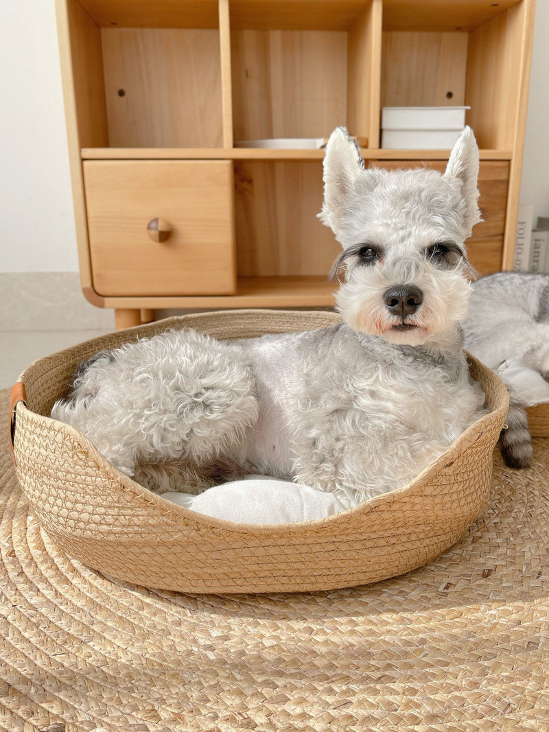 Katzenbett | Handgefertigt | Bequem | Waschbarer Bezug | Stilvoll-Luzern Mode