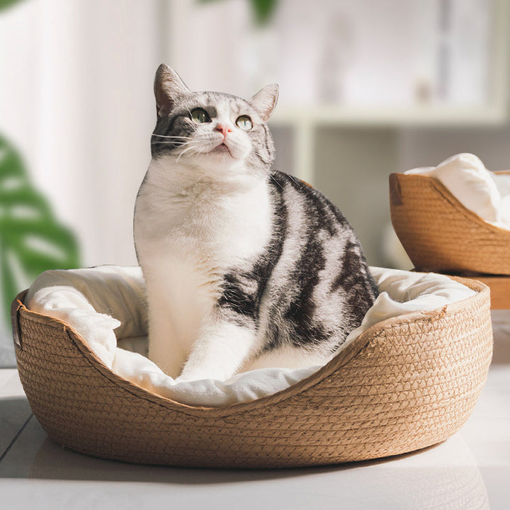 Katzenbett | Handgefertigt | Bequem | Waschbarer Bezug | Stilvoll-Luzern Mode