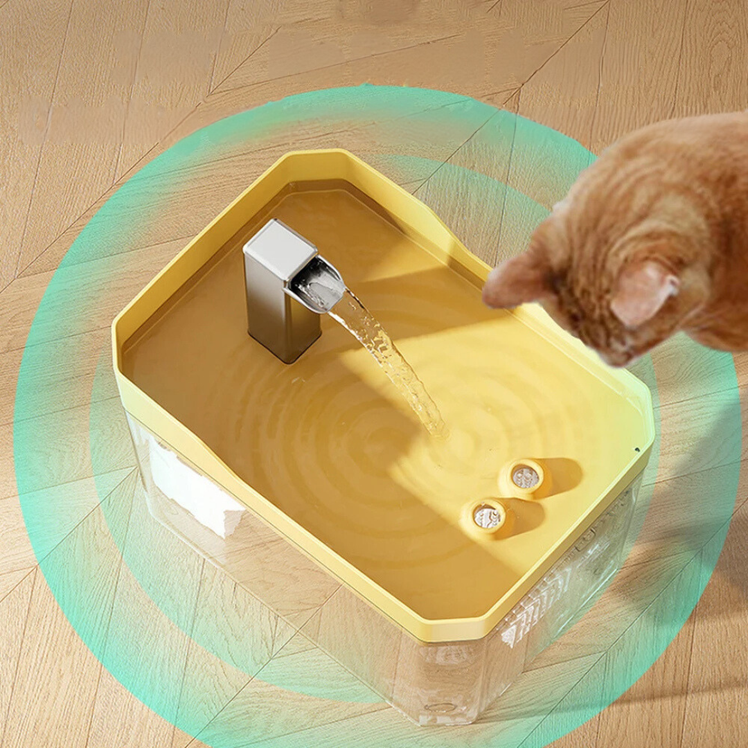 Haustier Trinkschale | Fontäne Frisch Hydratation Pflege Vielseitig-Luzern Mode