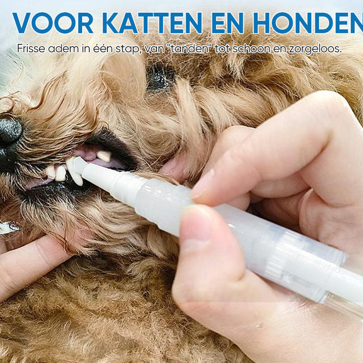 Haustier Zahnbürste | Stift | Hygiene | Nachhaltig | Sicher | Vielseitig-Luzern Mode