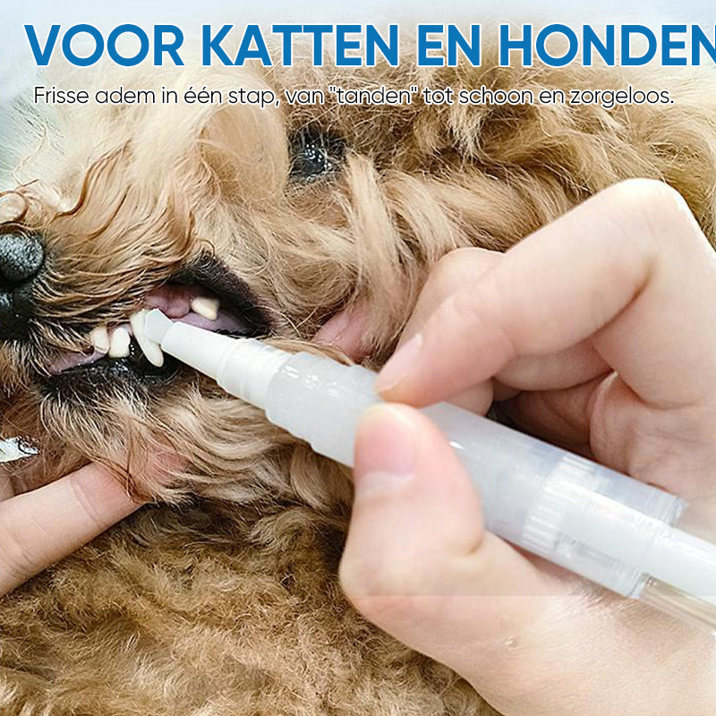 Haustier Zahnbürste | Stift | Hygiene | Nachhaltig | Sicher | Vielseitig-Luzern Mode
