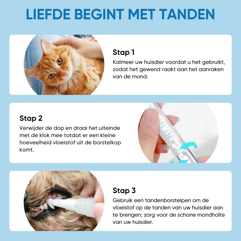 Haustier Zahnbürste | Stift | Hygiene | Nachhaltig | Sicher | Vielseitig-Luzern Mode