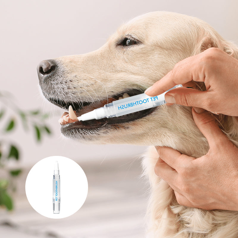 Haustier Zahnbürste | Stift | Hygiene | Nachhaltig | Sicher | Vielseitig-Luzern Mode