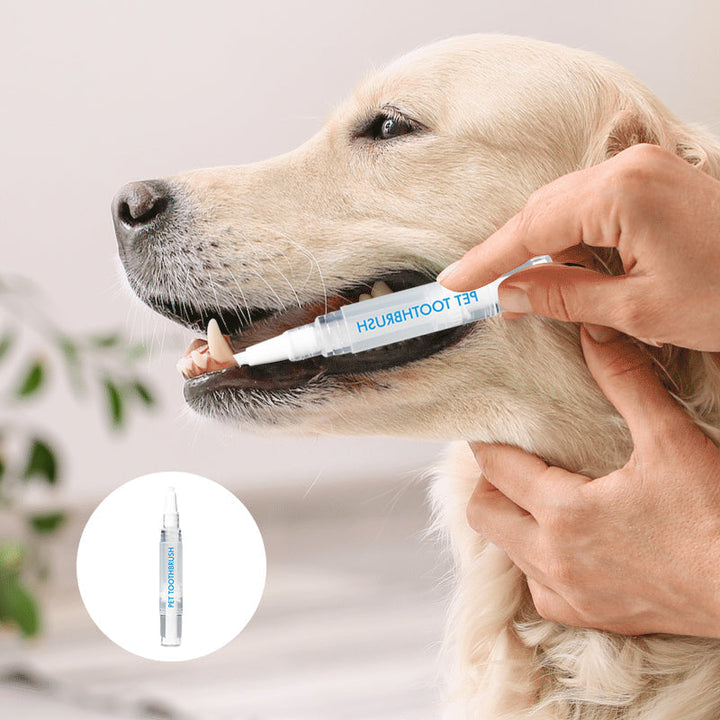 Haustier Zahnbürste | Stift | Hygiene | Nachhaltig | Sicher | Vielseitig-Luzern Mode
