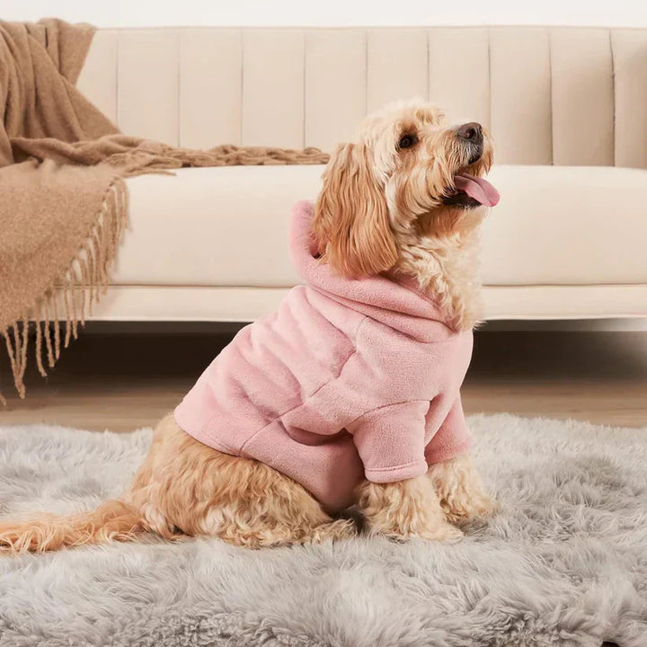Kuscheliger Hundepullover mit Kapuze für kleine Hunde-Luzern Mode