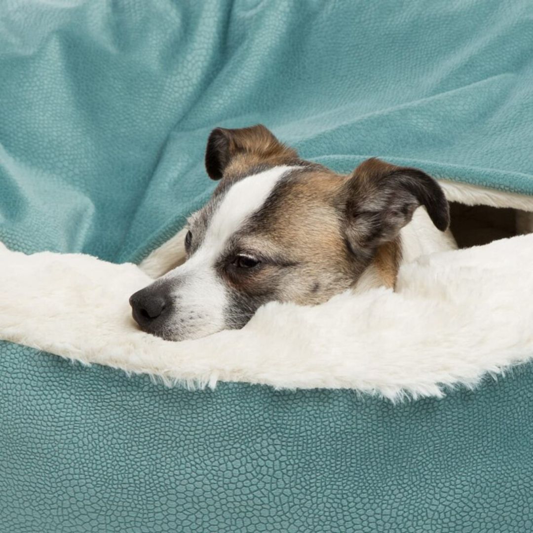 Hunde-Bett | Anti-Stress | Komfortabel | Weich | Geschützt | Atmungsaktiv | Orthopädisch-Luzern Mode