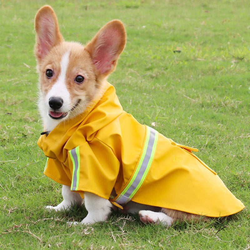 Hunde-Regenjacke | Wasserdicht | Atmungsaktiv | Komfortabel | Nachhaltig | Klettverschluss-Luzern Mode