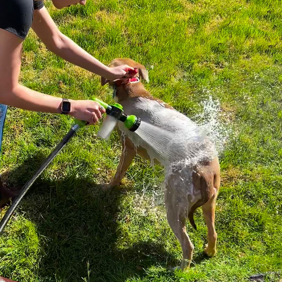 Hundeduschspray | Vielseitig | Wassersparend | Strapazierfähig | Komfort-Luzern Mode