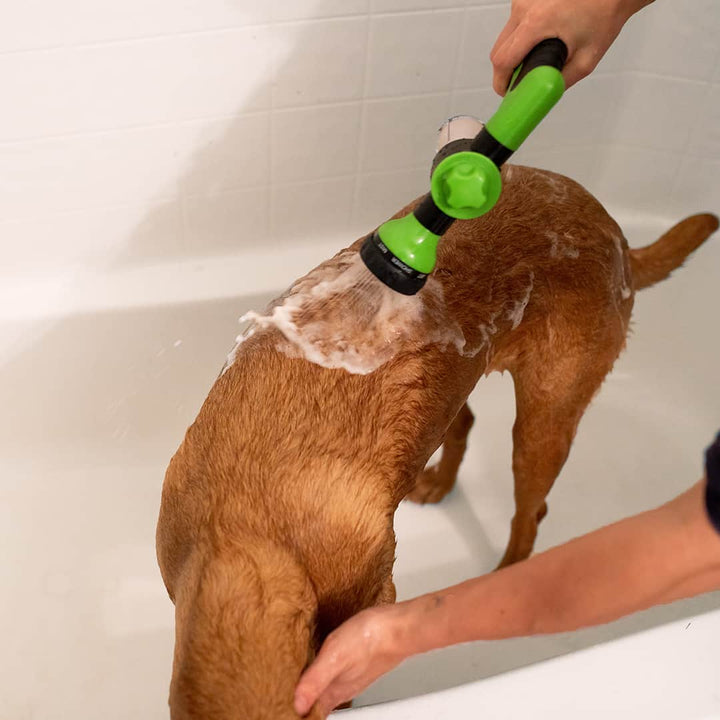 Hundeduschspray | Vielseitig | Wassersparend | Strapazierfähig | Komfort-Luzern Mode