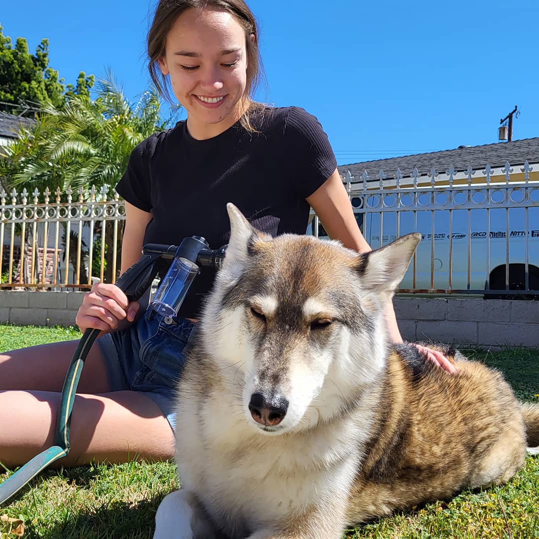 Hundeduschspray | Vielseitig | Wassersparend | Strapazierfähig | Komfort-Luzern Mode