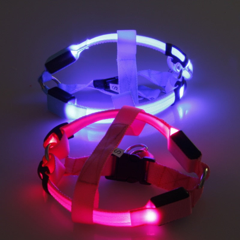 Hundegeschirr | LED Auffällig Bunt Bequem Atmungsaktiv Haltbar-Luzern Mode