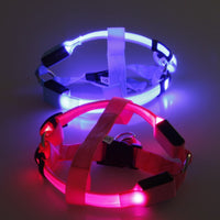 Hundegeschirr | LED Auffällig Bunt Bequem Atmungsaktiv Haltbar-Luzern Mode