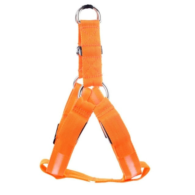 Hundegeschirr | LED Auffällig Bunt Bequem Atmungsaktiv Haltbar-Orange-XS-Luzern Mode