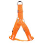 Hundegeschirr | LED Auffällig Bunt Bequem Atmungsaktiv Haltbar-Orange-XS-Luzern Mode
