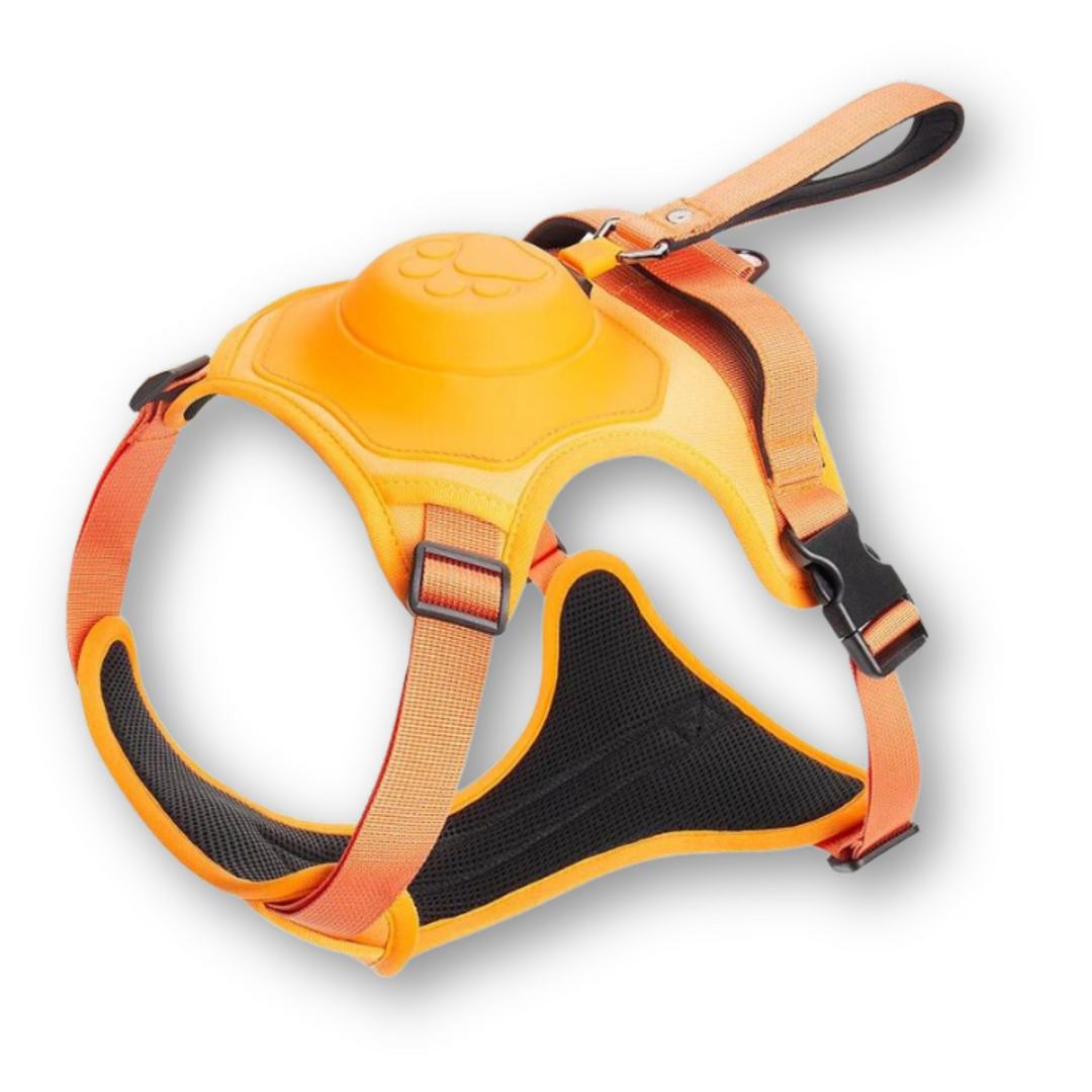 Hundegeschirr | Mit Leine | Teleskopleine | Flexibel | Sicher | Langlebig | Robust-Orange-M - (5-13 Kg)-Luzern Mode